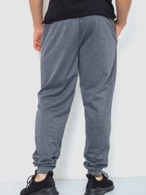 Штаны спортивные Ager модель У-1129027::000000072 Фото