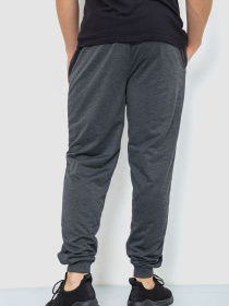 Штаны спортивные Ager модель У-1129027::000000087 Фото