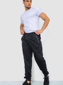 Штаны спортивные Ager модель У-1129027::000000096 Фото