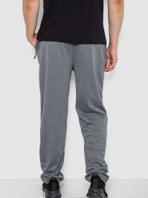 Штаны спортивные Ager модель У-1130035::000000072 Фото