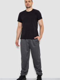 Штаны спортивные Ager модель У-1130035::000000087 Фото