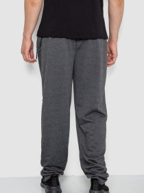 Штаны спортивные Ager модель У-1130035::000000087 Фото