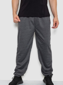 Штаны спортивные Ager модель У-1130035::000000087 Фото