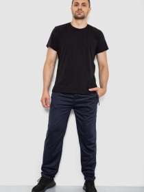 Штаны спортивные Ager модель У-1130035::000000090 Фото