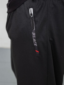 Штаны спортивные Ager модель У-1130035::000000096 Фото