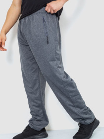 Штаны спортивные Ager модель У-1129008::000000072 Фото