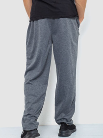 Штаны спортивные Ager модель У-1129008::000000072 Фото