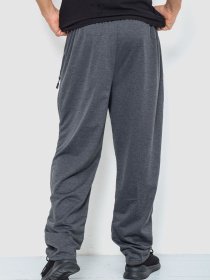 Штаны спортивные Ager модель У-1129008::000000087 Фото