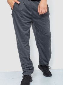 Штаны спортивные Ager модель У-1129008::000000087 Фото