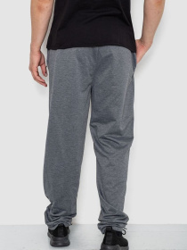 Спортивні штани Ager модель У-1130032::000000072 Спортивні штани Ager модель У-1130032::000000072 Фото