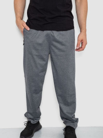 Спортивні штани Ager модель У-1130032::000000072 Спортивні штани Ager модель У-1130032::000000072 Фото