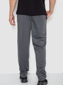 Спортивні штани Ager модель У-1130032::000000087 Спортивні штани Ager модель У-1130032::000000087 Фото