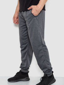 Штаны спортивные Ager модель У-1130023::000000087 Фото