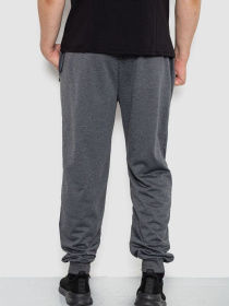 Штаны спортивные Ager модель У-1130023::000000087 Фото