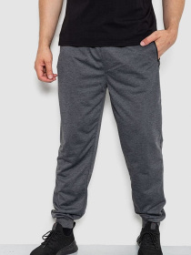 Штаны спортивные Ager модель У-1130023::000000087 Фото