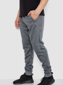 Штаны спортивные Ager модель У-1130025::000000072 Фото