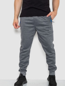 Штаны спортивные Ager модель У-1130025::000000072 Фото