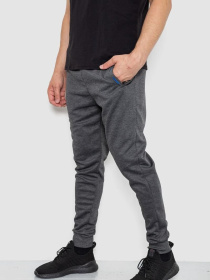 Штаны спортивные Ager модель У-1130025::000000087 Фото