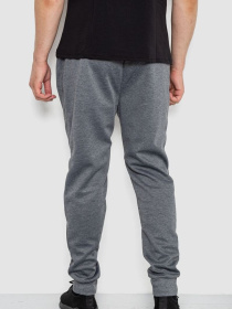 Штаны спортивные Ager модель У-1130024::000000072 Фото