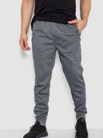 Штаны спортивные Ager модель У-1130024::000000072 Фото