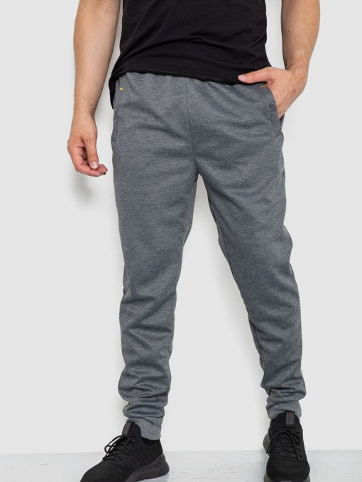 Штаны спортивные Ager модель У-1130024::000000072 Фото