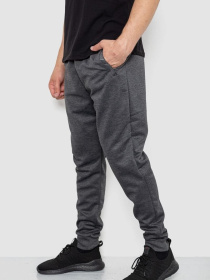 Штаны спортивные Ager модель У-1130024::000000087 Фото