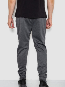 Штаны спортивные Ager модель У-1130024::000000087 Фото