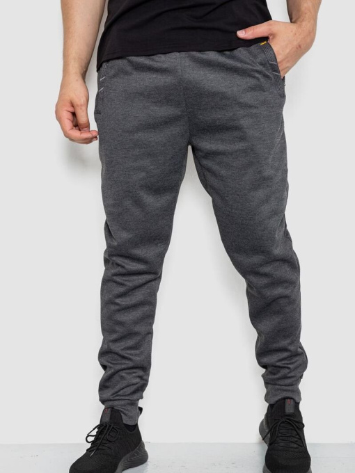 Штаны спортивные Ager модель У-1130024::000000087 Фото