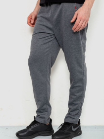 Штаны спортивные Ager модель У-1129536::000000072 Фото