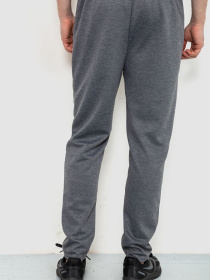 Штаны спортивные Ager модель У-1129536::000000072 Фото