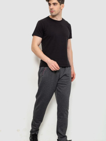 Штаны спортивные Ager модель У-1129536::000000087 Фото