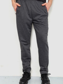 Штаны спортивные Ager модель У-1129536::000000087 Фото