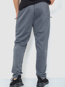 Штаны спортивные Ager модель У-1129028::000000072 Фото