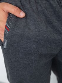 Штаны спортивные Ager модель У-1129028::000000087 Фото