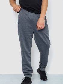 Штаны спортивные Ager модель У-1129029::000000072 Фото