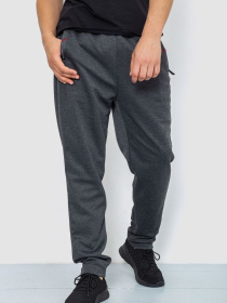 Штаны спортивные Ager модель У-1129029::000000087 Фото