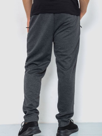 Штаны спортивные Ager модель У-1129029::000000087 Фото