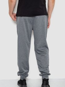 Штаны спортивные Ager модель У-1130031::000000072 Фото