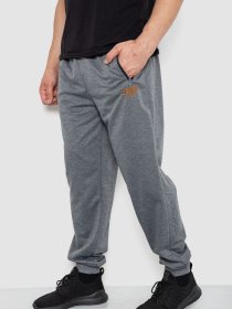 Штаны спортивные Ager модель У-1130031::000000072 Фото