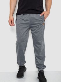 Штаны спортивные Ager модель У-1130031::000000072 Фото