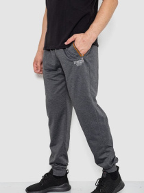 Штаны спортивные Ager модель У-1130031::000000087 Фото