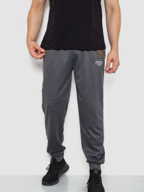 Штаны спортивные Ager модель У-1130031::000000087 Фото