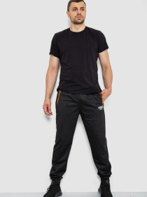 Штаны спортивные Ager модель У-1130031::000000096 Фото