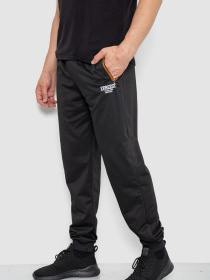 Спортивні штани Ager модель У-1130031::000000096 Спортивні штани Ager модель У-1130031::000000096 Фото