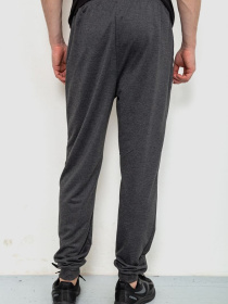 Штаны спортивные Ager модель У-1129535::000000087 Фото