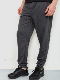 Штаны спортивные Ager модель У-1129535::000000087 Фото