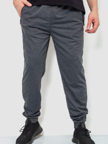 Штаны спортивные Ager модель У-1128172::000000087 Фото