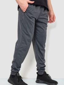 Спортивні штани Ager модель У-1128172::000000087 Фото