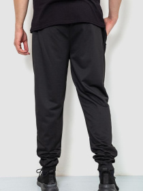 Штаны спортивные Ager модель У-1128172::000000096 Фото