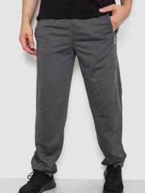 Штаны спортивные Ager модель У-1130079::000000087 Фото